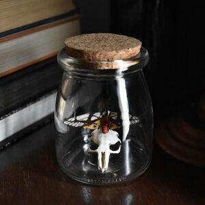 Moth Jar Display